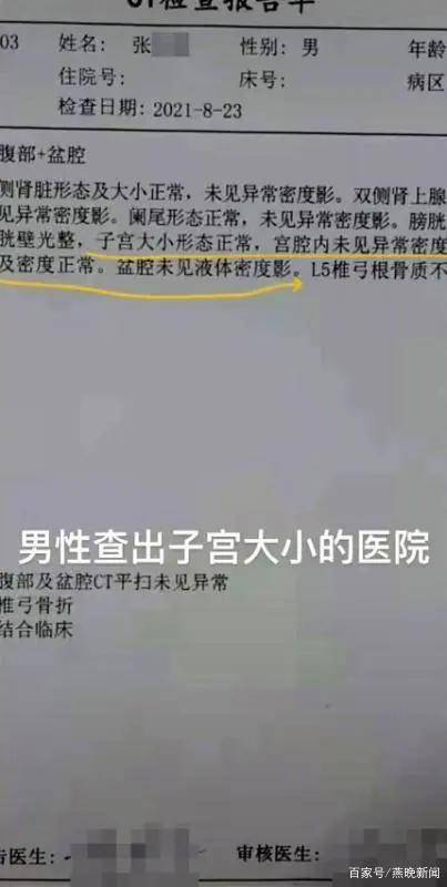 车况检测报告单：如何查看、查询及模板指南