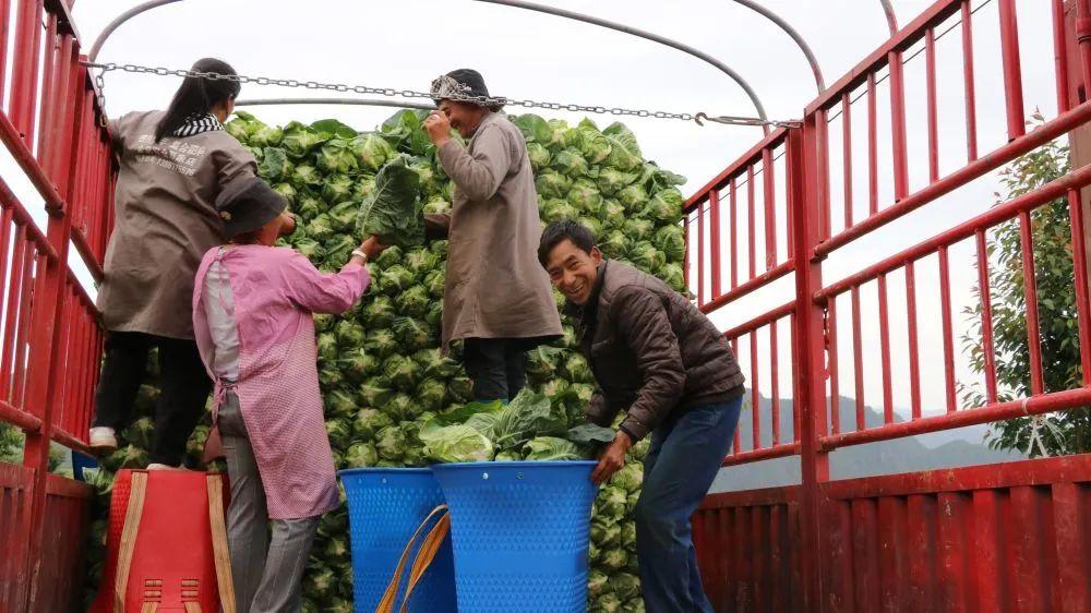 大学生作业必备软件推荐：全面提升学效率与协作能力