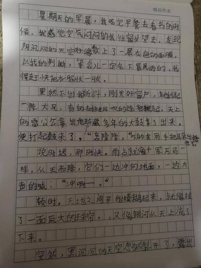 小狗仿写作文100-500字