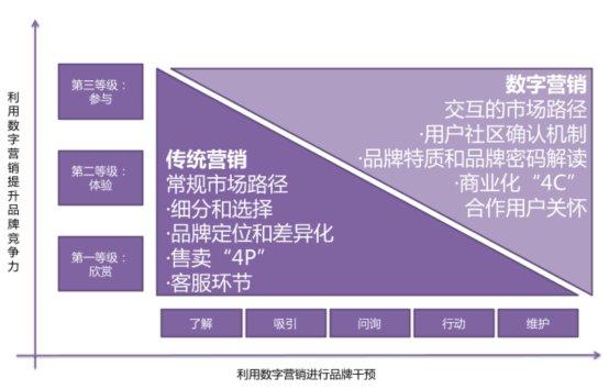 数字驱动创意：打造高效能数字化文案策略