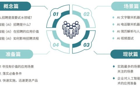 AI智能计划实与成效总结：全面解析项目成果与用户需求解决方案