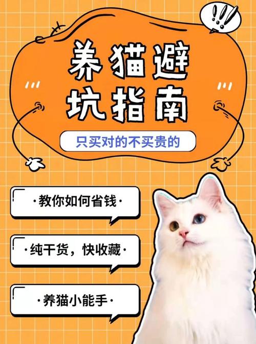 猫咪创作达人：揭秘如何利用猫咪内容赚取收益