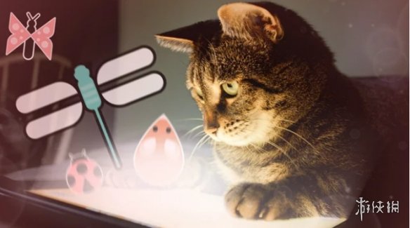 猫咪创意互动平台：创作猫，打造个性化猫宠生活新体验