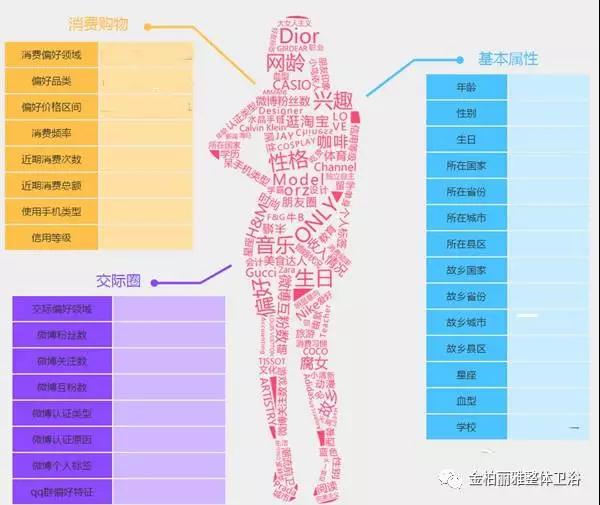 洞察女性需求：女性营销策略的核心特点与实战应用