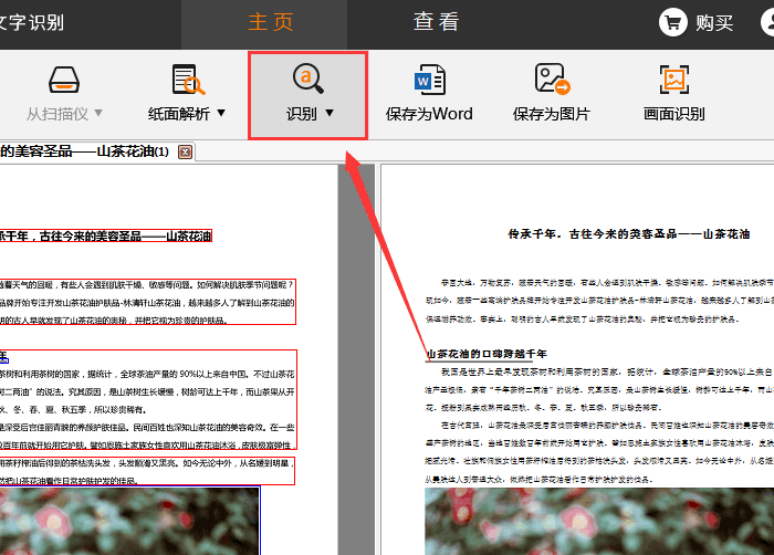 AI工具如何高效转换和编辑扫描文档中的文字内容