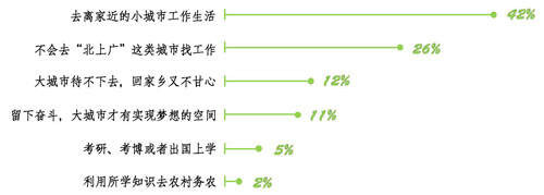 全面解析：爱国敬业精神调研报告的目的、意义与实策略