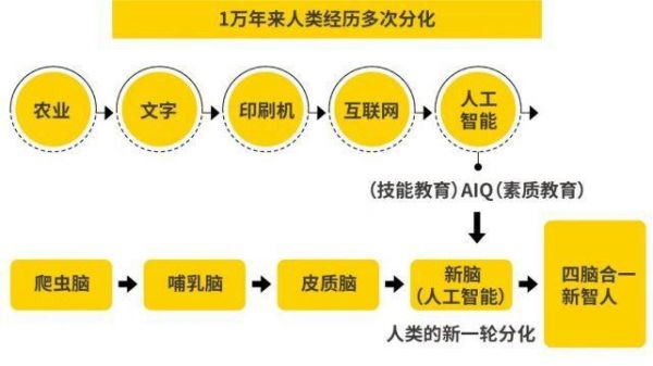 人工智能与人类智慧的差异化解析：AI的独特性与人类优势对比