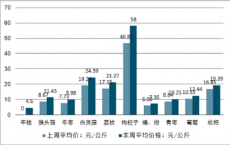 AI行业全景洞察：深度调查报告综合分析与未来趋势预测总结