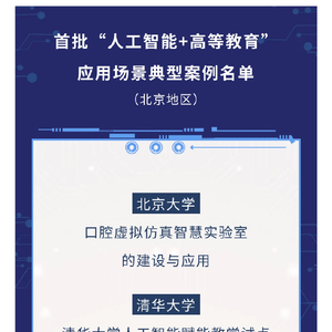 人工智能应用典范：AI成功案例精选汇编