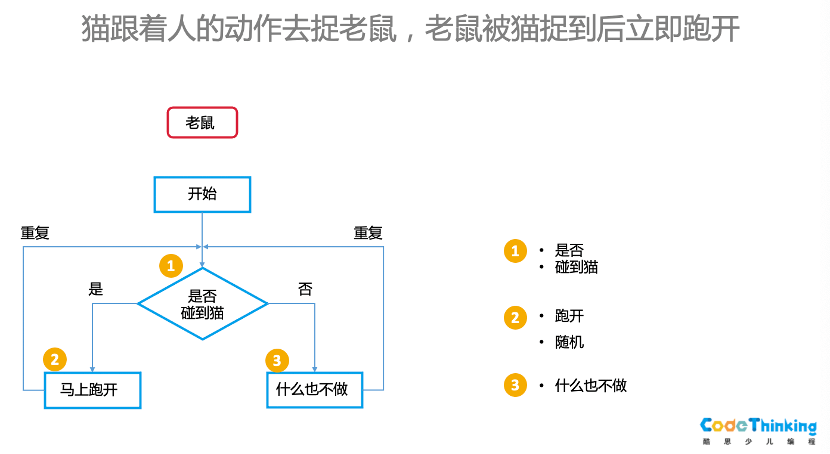 深入解析：AI编程脚本编写技巧与实践指南