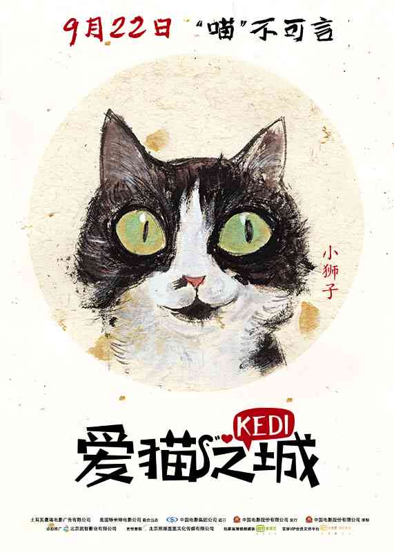 探索猫咪的魅力：全方位解读爱猫人士的情感世界