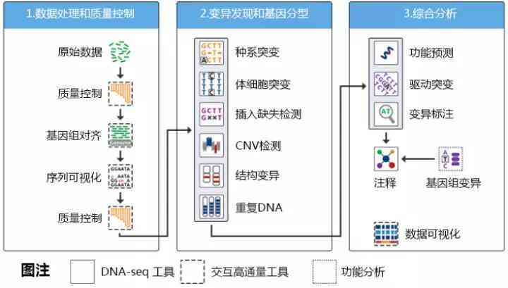 基于基因型数据的个体模拟分析