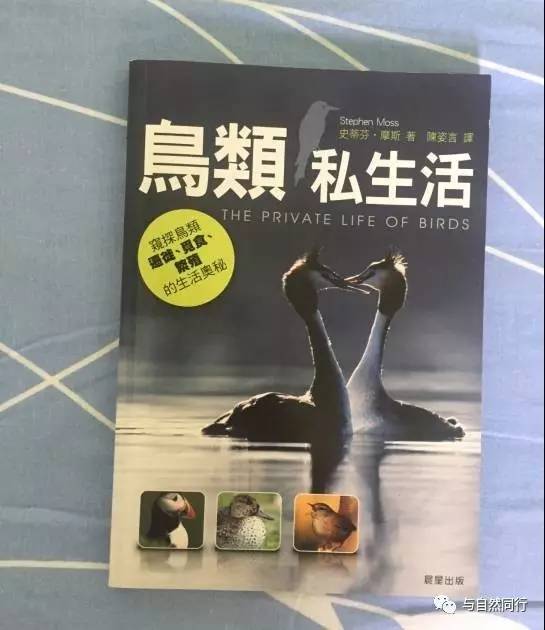 人类写作可以分为哪两类：一类是应用写作，另一类文体活动。