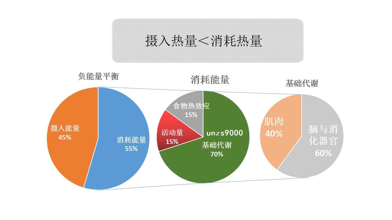 人类写作可以分为哪两类：一类是应用写作，另一类文体活动。