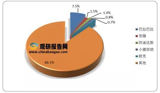 ai服装市场调研分析报告怎么写：2021数据深度解析与调研分析表