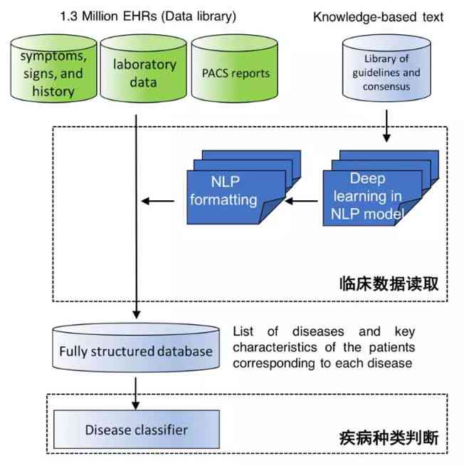 智能AI美学分析与诊断系统