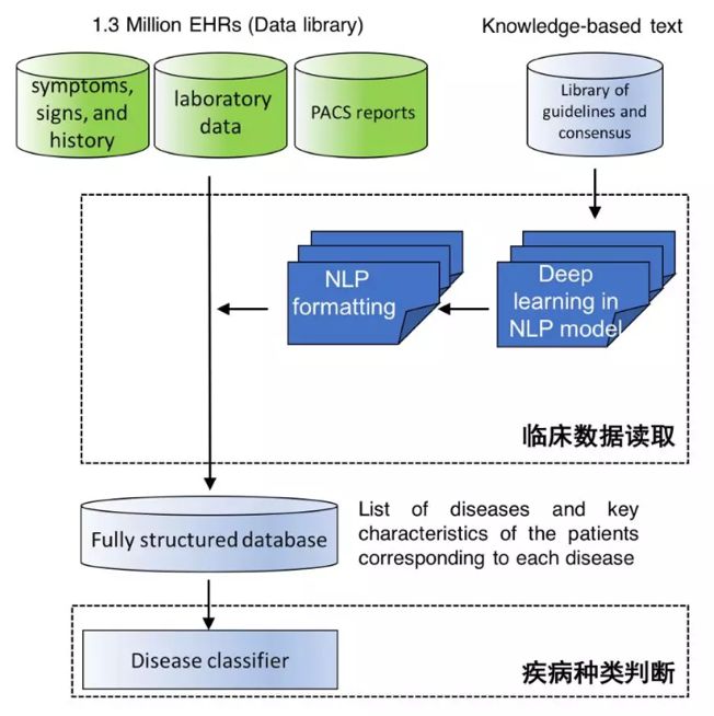 智能AI美学分析与诊断系统