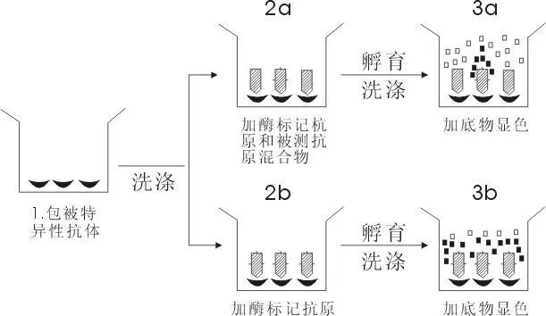 全面攻略：剪影AI文案识别操作详解与常见问题解决方案