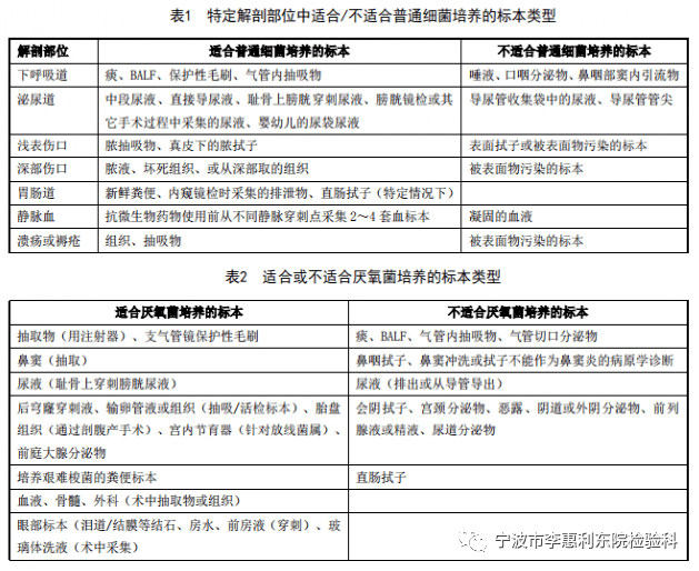 井下运输皮带ai检测报告