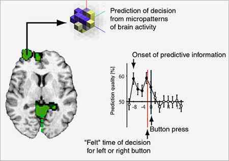 AI辅助绘制与模拟大脑结构：探索神经科学新领域的技术突破与应用前景