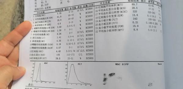 在线体检报告查看：网站查询体检报告单及结果方法