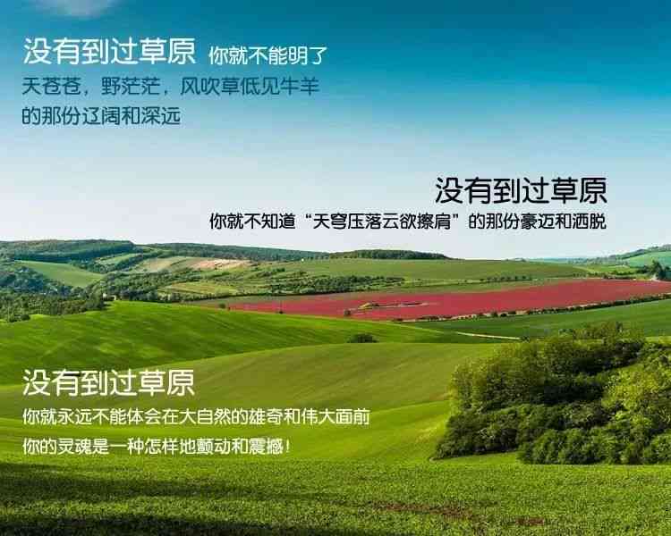 掌握AI绘画精髓：打造吸睛草原大漠创意文案，全方位解决用户搜索需求