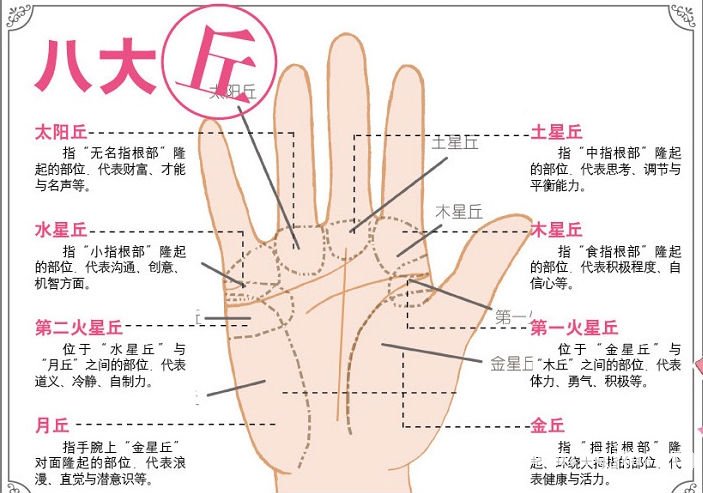 AI手相解析服务：免费详尽测试，全面解答命运与性格奥秘