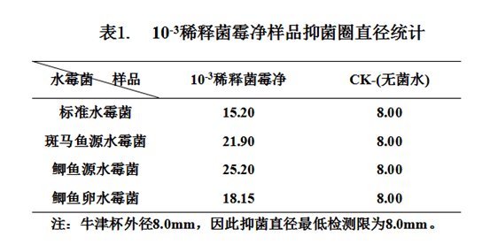 探究AI实验报告：过程解析与结论提炼的关联性及差异分析