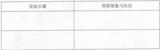 探究实验报告：结果分析与结论提炼的差异性解析