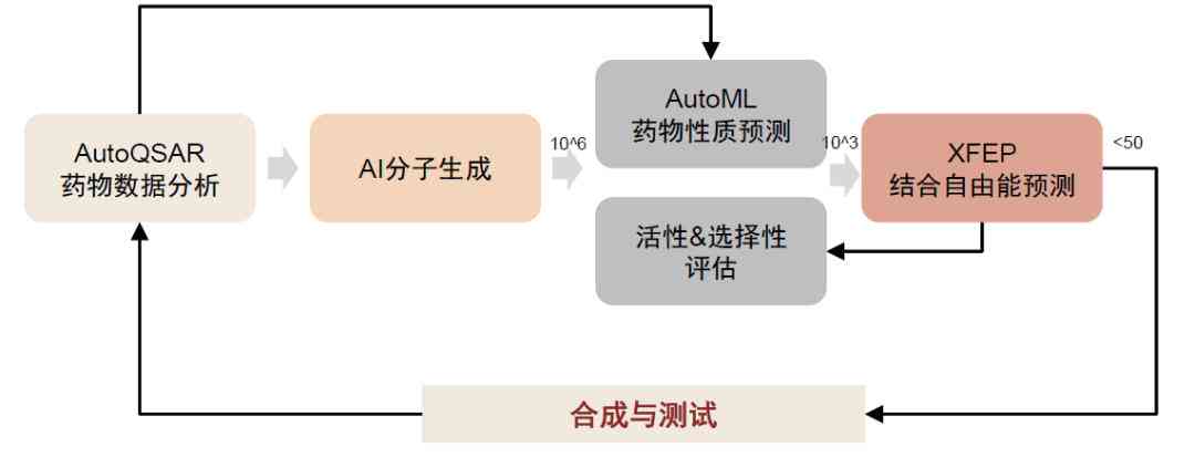 AI的展望：未来发展趋势与综合总结