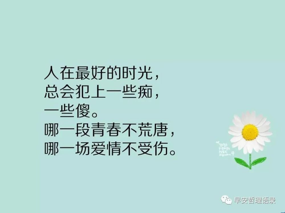 心灵启迪：精选感悟文案短句精华