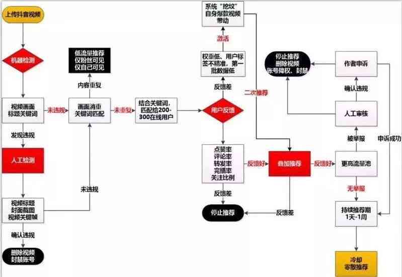 全方位攻略：抖音运营脚本撰写技巧，解决所有创作与优化难题