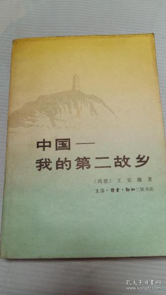 才华横溢的笔耕者：探索文学巨匠的越创作力