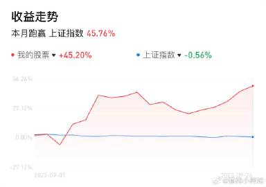 洞察市场脉动：深入解析炒股情绪指标实战技巧