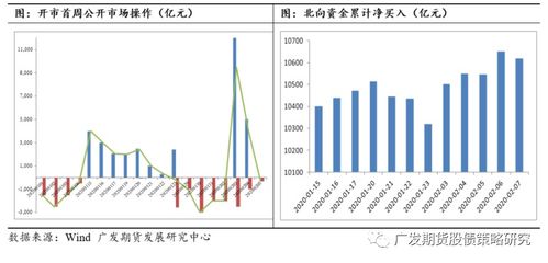 月度业绩综述：全面解析业务进展与市场动态报告