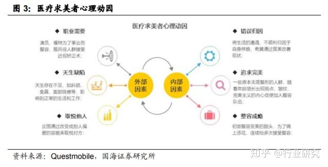 《现代宠物美容产业发展趋势：管理与营销策略实证研究与案例分析》