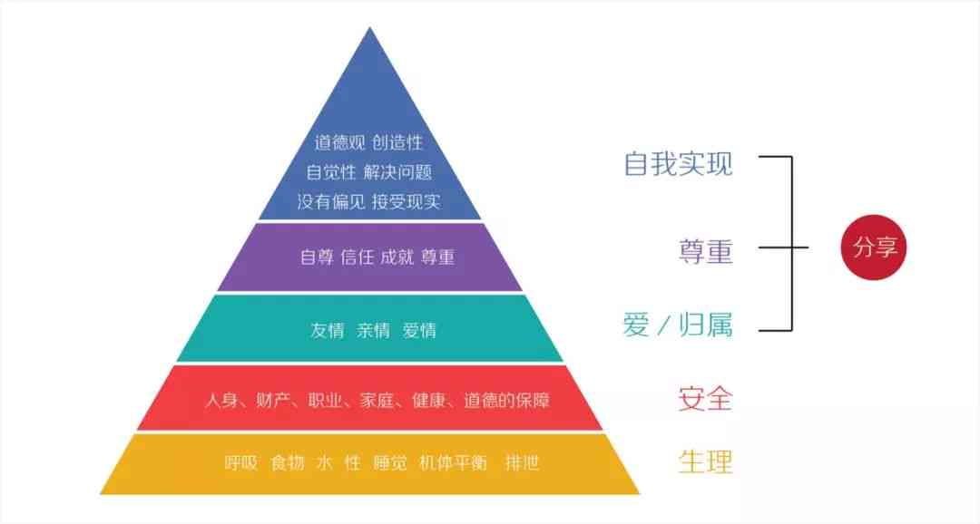 全面解析：各类研究报告深度分析与实用指南