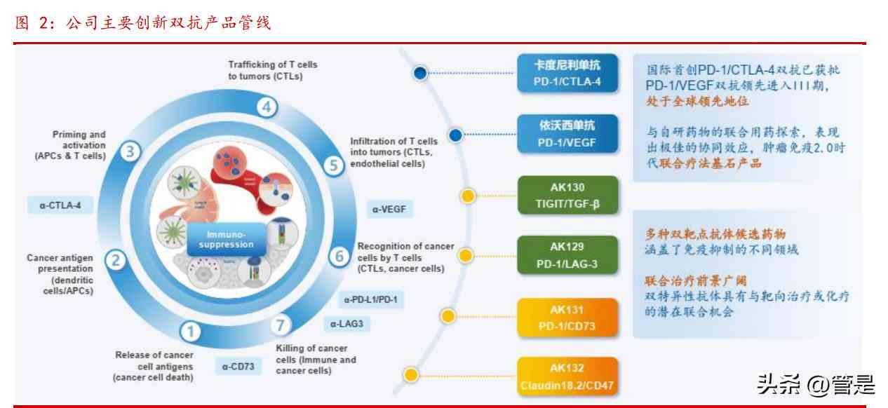 一篇完整的研究报告包括哪几个部分及其构成和形式划分