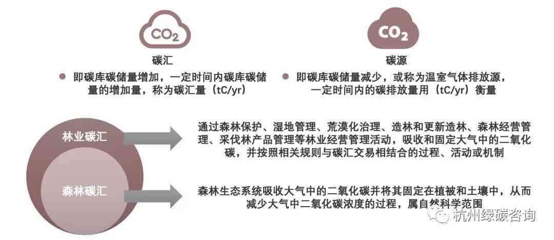 林业碳汇项目综合AI分析报告：从碳汇农场规划到市场投资潜力全面解析