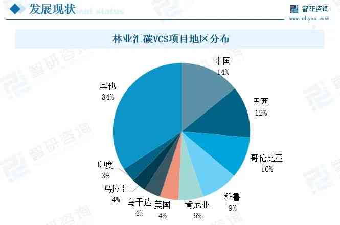 林业碳汇项目综合AI分析报告：从碳汇农场规划到市场投资潜力全面解析