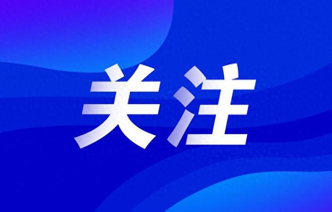 融合先进AI技术的创新应用与实践