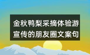 幼儿园教师心灵关怀文案：柔话语与实用沟通策略全攻略