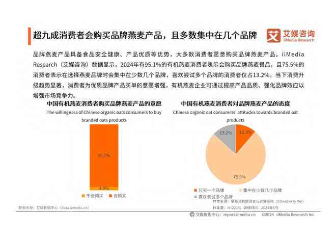 2024年中国AI行业全景洞察报告：技术进展、市场趋势与应用案例深度解析