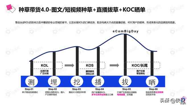 全方位攻略：社交媒体平台营销策略与实践指南，解决用户痛点提升影响力