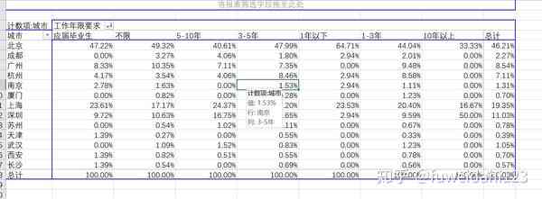 打造专业数据分析报告：表格制作详解与技巧