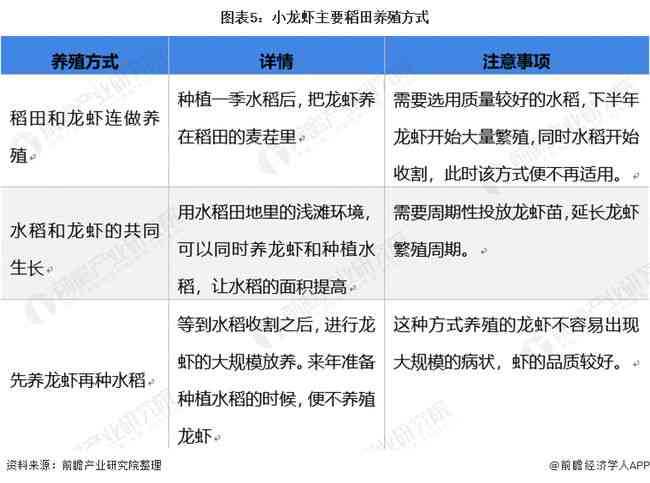 详尽指南：数据分析报告的完整步骤流程与实用技巧解析