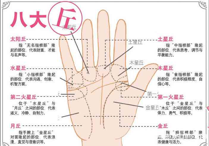 幽默的解说：爱情线手相与动物世界趣味解读