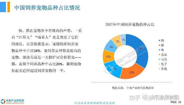 AI诊疗宠物行业分析报告：现状、深度解析与总结（长度：39字节）