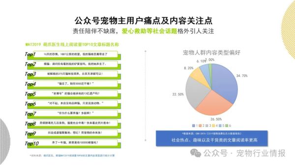 打造吸睛宠物营销：创意文案攻略与关键词融合