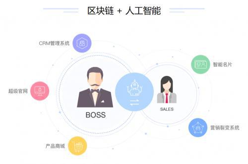 全方位指南：探索热门AI制作软件与人工智能开发工具选择